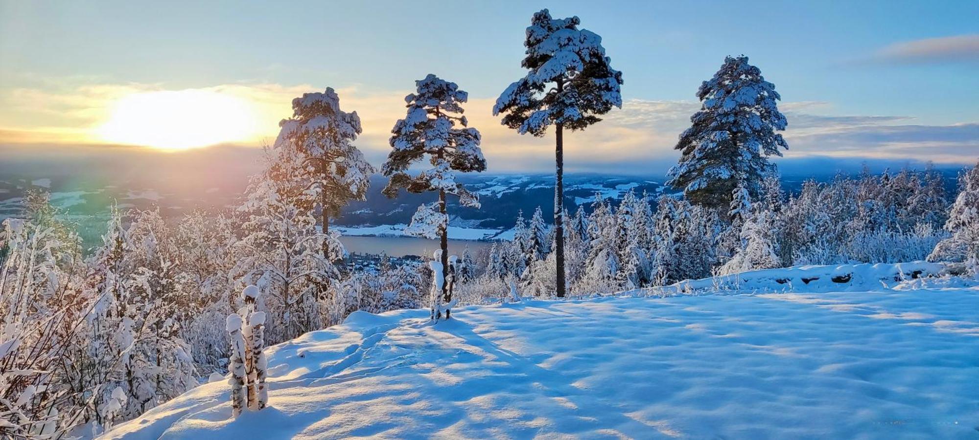 Nordgards Hagen Lejlighed Lillehammer Eksteriør billede
